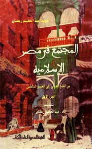 المجتمع في مصر الإسلامية من الفتح العربي إلي العصر الفاطمي - الجزء الثاني