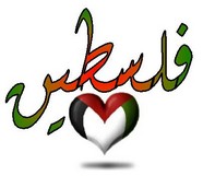 ديوان شعر عاشق من فلسطين