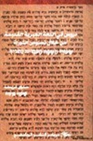 دروس في اللغة العبرية القديمة من خلال نصوص التوراة تأليف سلوى غريسة