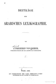Beiträge zur arabischen Lexikographie