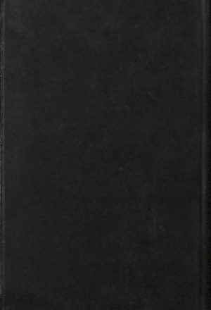كتاب التحفة البستانية في الأسفار الكروزية، أو، رحلة روبنصن كروزي v.1-2