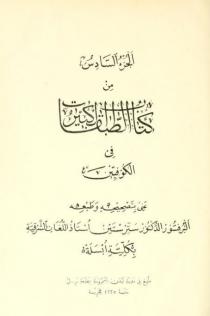 الجزء السادس من كتاب الطبقات الكبرى