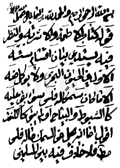 مصباح الأنام في شرح شرائع الإسلام