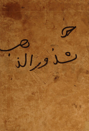 شذور الذهب في معرفة کلام العرب