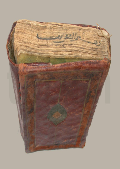 تفسير غريب القرآن المجید