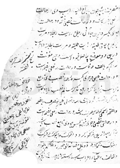 شرح الکافیة