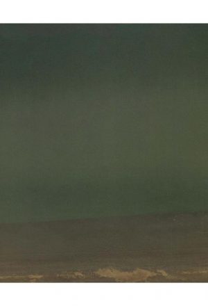 دیوان حافظ [چاپ سنگی](خواجه شمس الدين محمد حافظ شيرازي ؛ مصحح و کاتب ابوعلی محمد القدسی الحسینی الشیرازی؛ شیخ مفید شیرازی المتخلص به داور)