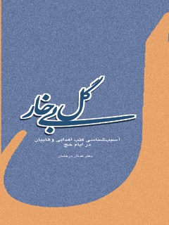 گل بی خار - آسیب شناسی کتب اهدایی وهابیان در ایام حج