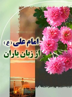 امام علی علیه السلام از زبان یاران