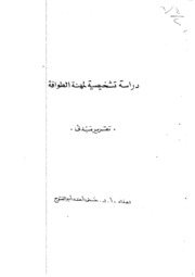 دراسة تشخيصية لمهنة الطوافة تقرير