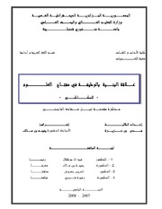 علاقة البنية بالوظيفة في مفتاح العلوم