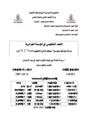 التعلم التنظيمي في المؤسسة الجزائرية نعيجة