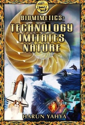Biomimetics Technology Imitates Nature