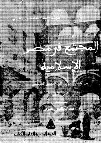 المجتمع في مصر الإسلامية من الفتح العربي إلى العصر الفاطمي_ج1