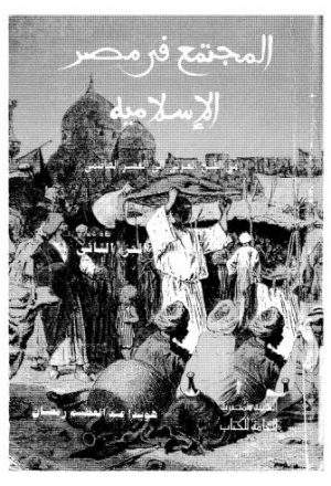 المجتمع في مصر الإسلامية من الفتح العربي إلى العصر الفاطمي_ج2