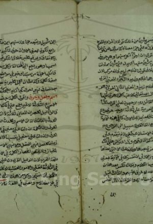 شرح شذور الذهب في معرفة كلام العرب