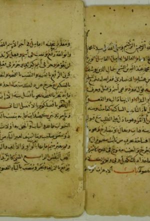شذور الذهب في معرفة كلام العرب