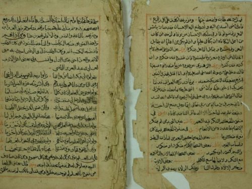 كتاب في الادب العربي