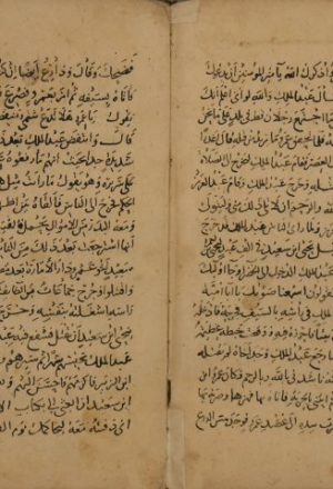 عيون التواريخ لصلاح الدين: محمد بن شاكر الكتبي – ج3