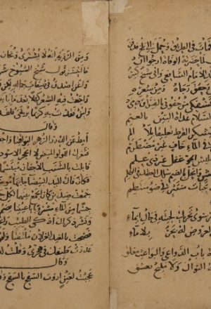 عيون التواريخ لصلاح الدين: محمد بن شاكر الكتبي – ج14 من النسخة رقم 1486
