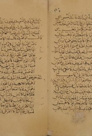 الأغاني الكبير الجامع لأبي الفرج: علي بن الحسين الأصبهاني – ج3