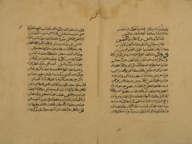 كشف البيان عن صفات الحيوان لأبي الفتح: محمد بن محمد بن علي العوفي – ج48 من النسخة السابقة