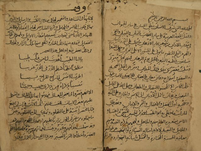 المآخذ على شراح ديوان المتنبي لأبي العباس: أحمد بن علي بن معقل المهلبي