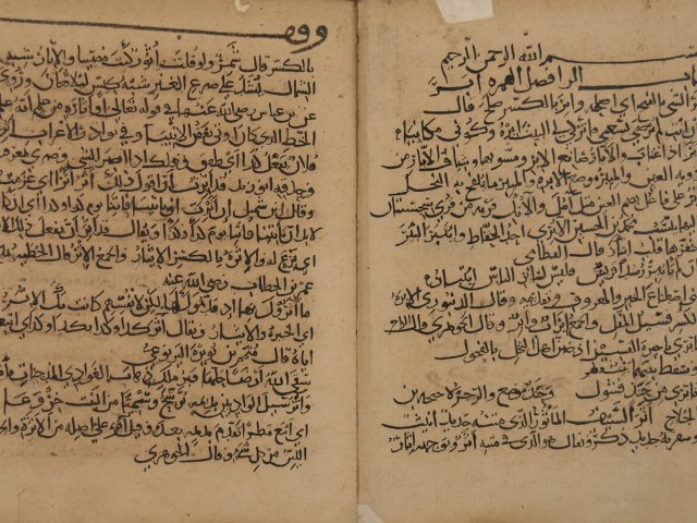 التكملة والذيل والصلة لرضي الدين: الحسن بن محمد الصغاني – مج3