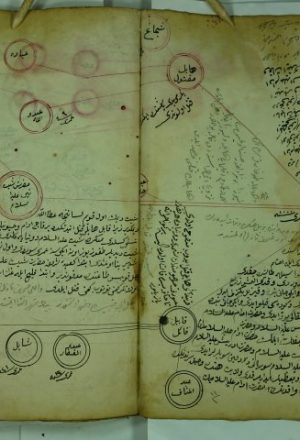 كتاب فيه شجرة نسب من آدم عليه السلام الي سلطان محمود خان