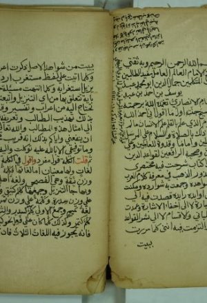 شرح شذور الذهب في معرفة كلام العرب