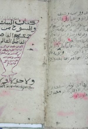 البيان للناسخ والمنسوخ من القرآن