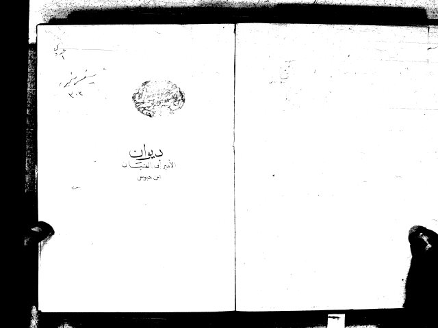 ديوان أبي الفتيان محمد بن سلطان بن حيُّوس الغنوي