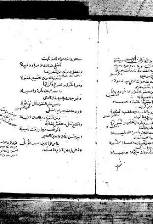 قصيدة في المديح النبوي لشمس الدين محمد بن حسن النواجي
