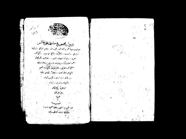 مجموع شعري مشتمل على نفائس انتخبه محيي الدين السلطي