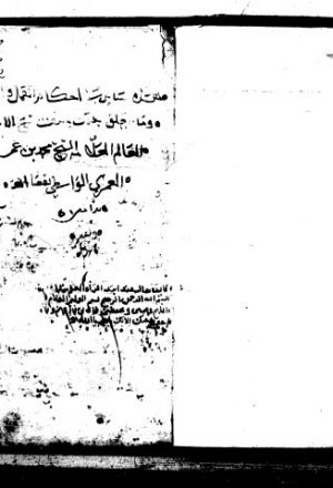 رسالة في أحكام القمل والبراغيث وما يتعلق بذلك لشمس الدين محمد بن عمر الغمري الواسطي