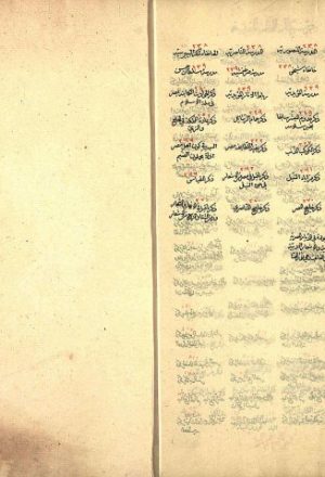 مخطوطة - حُسن المحاضرة في أخبار مصر والقاهرة