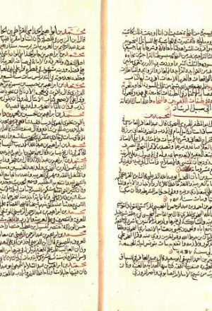 مخطوطة - بُغيةُ الوُعاة في طبقات اللُّغويين والنُّحاة