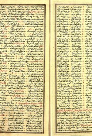 مخطوطة - نفح الطيب من غصن الأندلس الرطيب (ج: 2)