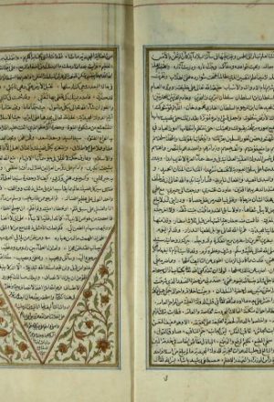 مخطوطة - روح المعاني في تفسير القرآن والسبع المثاني (ج: 8).