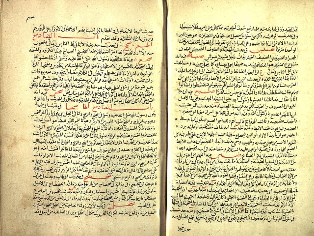 مخطوطة - النهاية في غريب الحديث والأثر (ج: 2).