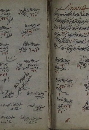 مخطوطة - تاريخ آل عثمان، تاريخ بجوي