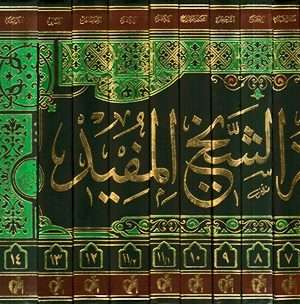 موسوعة الشيخ المفيد - 15 مجلد ، 14 جزء