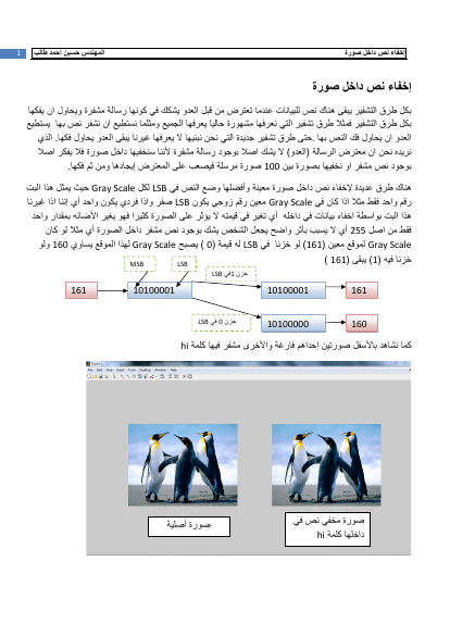 إخفاء نص داخل صورة (Hide Text in Image By Matlab)