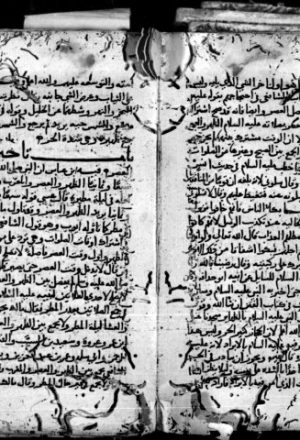 مخطوطة - شرح صحيح البخاري لابن بطال