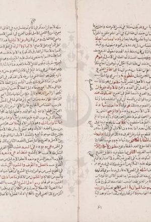 مخطوطة - شرح علاء الدين الكناني لمختصر البلبل في اصول الفقه للطوفي