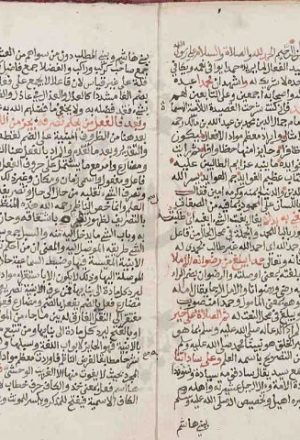 مخطوطة - شرح على لامية الافعال306383
