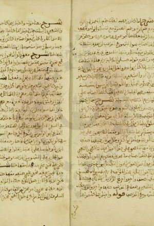 مخطوطة - شرح مسائل ابن جماعة التونسى فى البيوع  للقباب المالكي