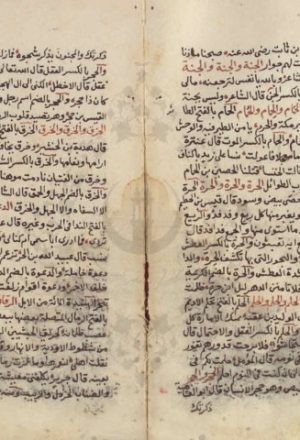 مخطوطة - شرح نظم مثلثات قطرب للفيروزآبادي