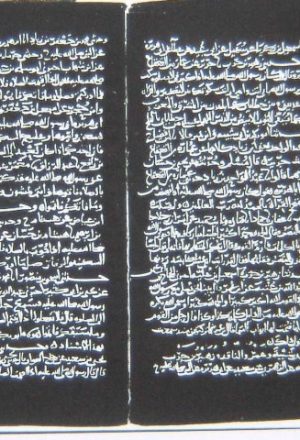 مخطوطة - صحيح الإمام مسلم بن الحجاج- قطعة  - نسخة 01