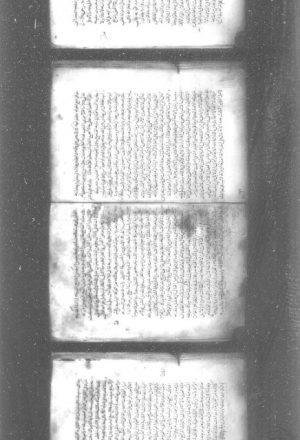 مخطوطة - علوم القران - الأكمل الأطول لنجم الدين النسفي - جـ 5